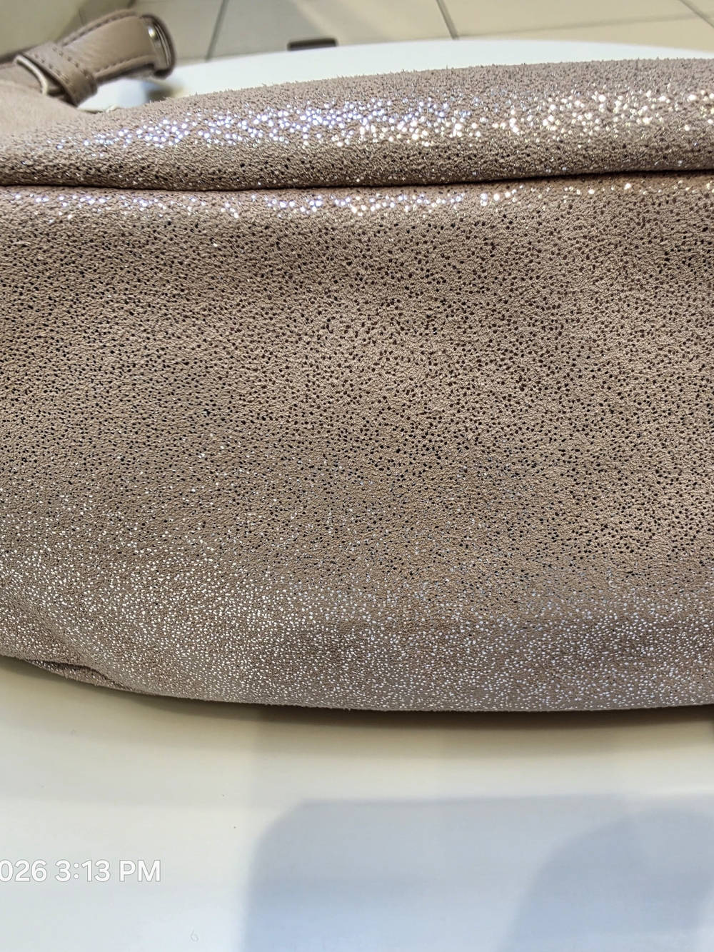 NWT The Sak Tess Crescent Shoulder Bag Sand Sparkle Suede Shimmer Boho - Picture 7 of 10